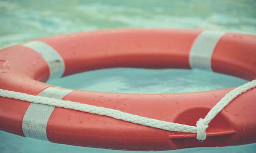 photo-1533625655932-73abd53515b2